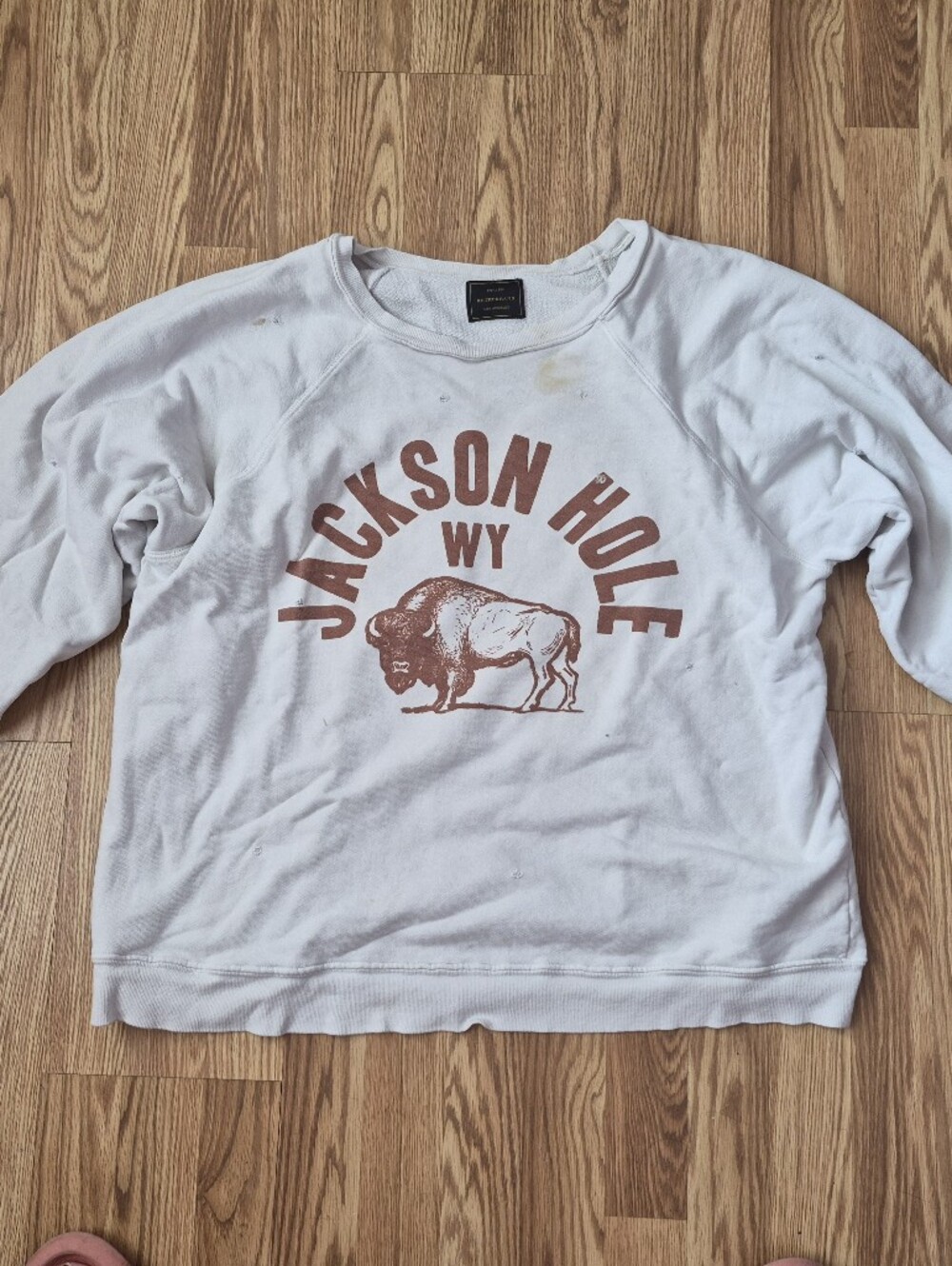 RETROBRAND,LOS ANGELES Sweatshirt with Buffalo Graphic Jacksonhole,